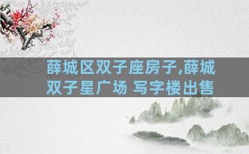 薛城区双子座房子,薛城双子星广场 写字楼出售